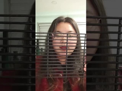 PVC 코팅 1200mm 고 보안 철강 울타리 등반 방지